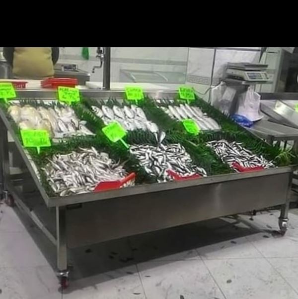 Balık Teşhir Reyonları